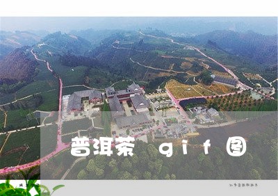 普洱茶 gif图/2023041009493